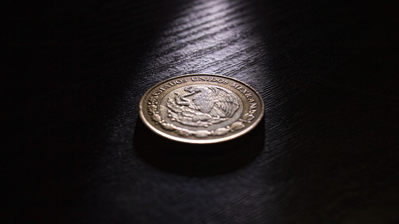 Coin Money Mexican Peso Currency - sebastianperezhdez / Pixabay